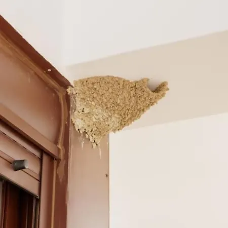 Villa Elaída- πολυτελής βίλα-θέα θάλασσα, μάνη