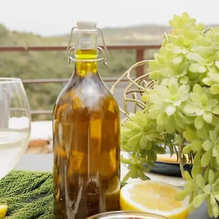 Elaída- πολυτελής βίλα-θέα θάλασσα, μάνη * Skoutárion