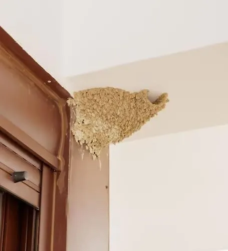 Villa Elaída- πολυτελής βίλα-θέα θάλασσα, μάνη