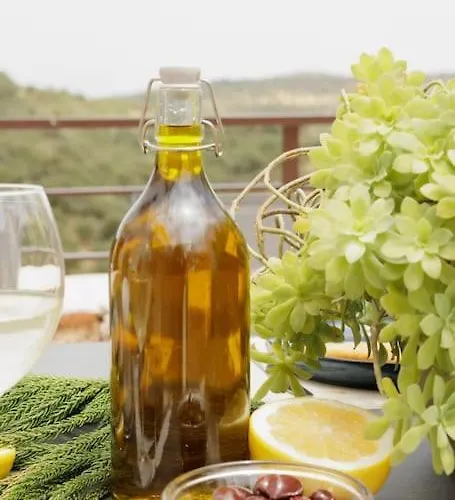 Elaida- πολυτελής βίλα-θέα θάλασσα, μάνη * Skoutárion